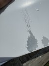 IMG_4987.jpeg
