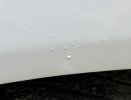 IMG_3707.jpeg